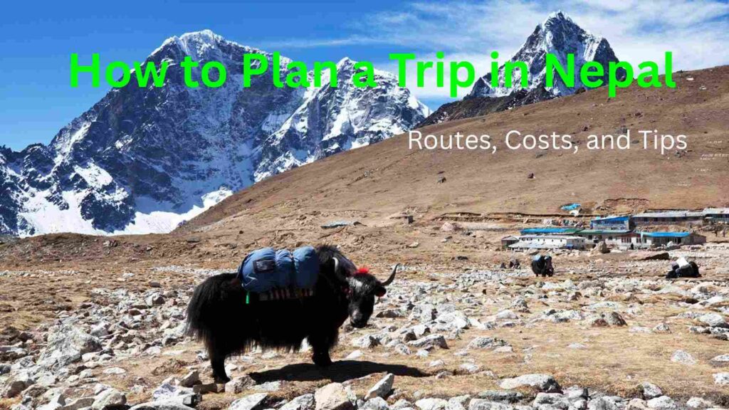 How to Plan a Trip in Nepal