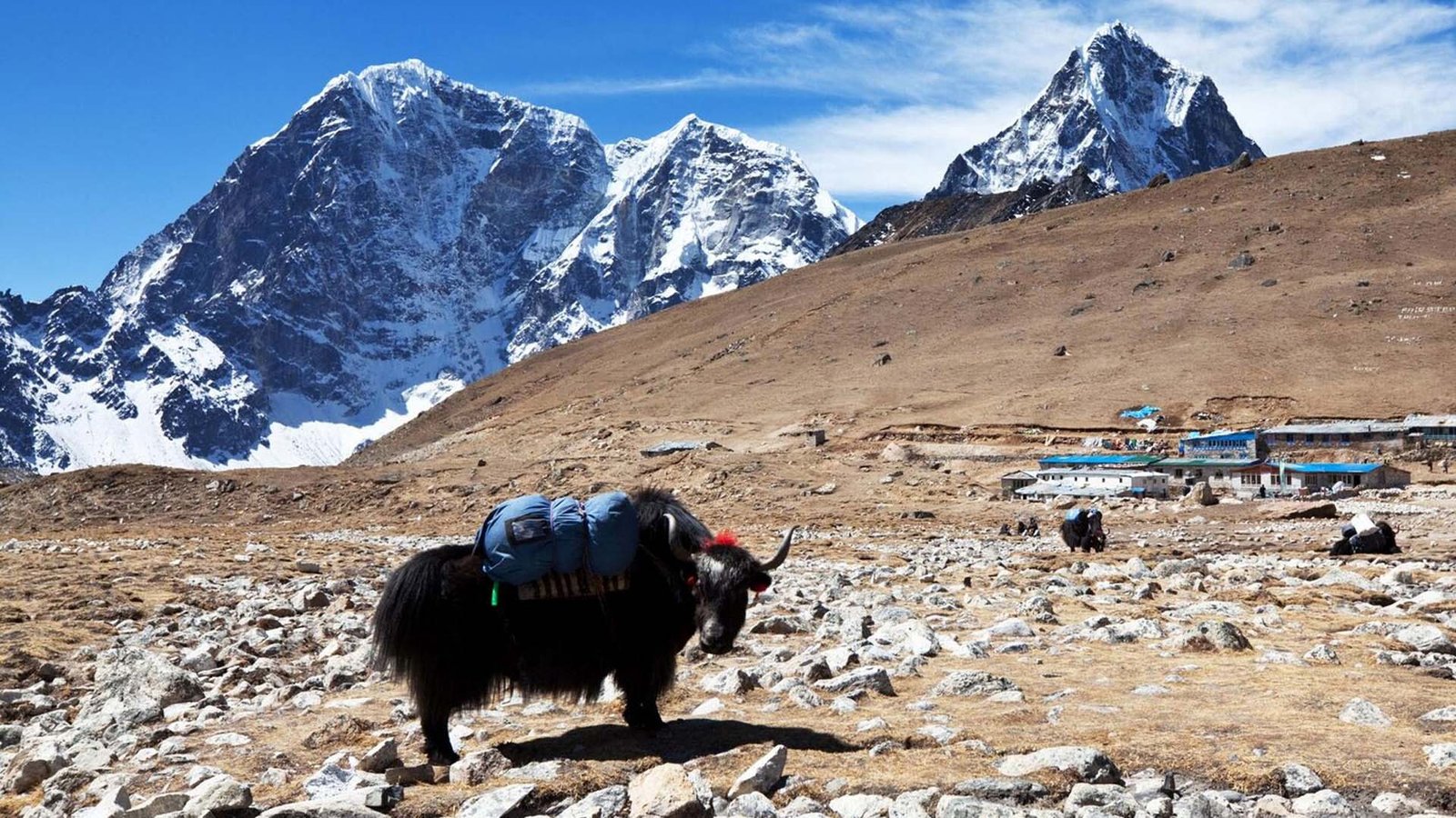 Nepal is where you can enjoy snowy mountains and ancient heritage on a budget.
Photo: kamchatka, Freepik