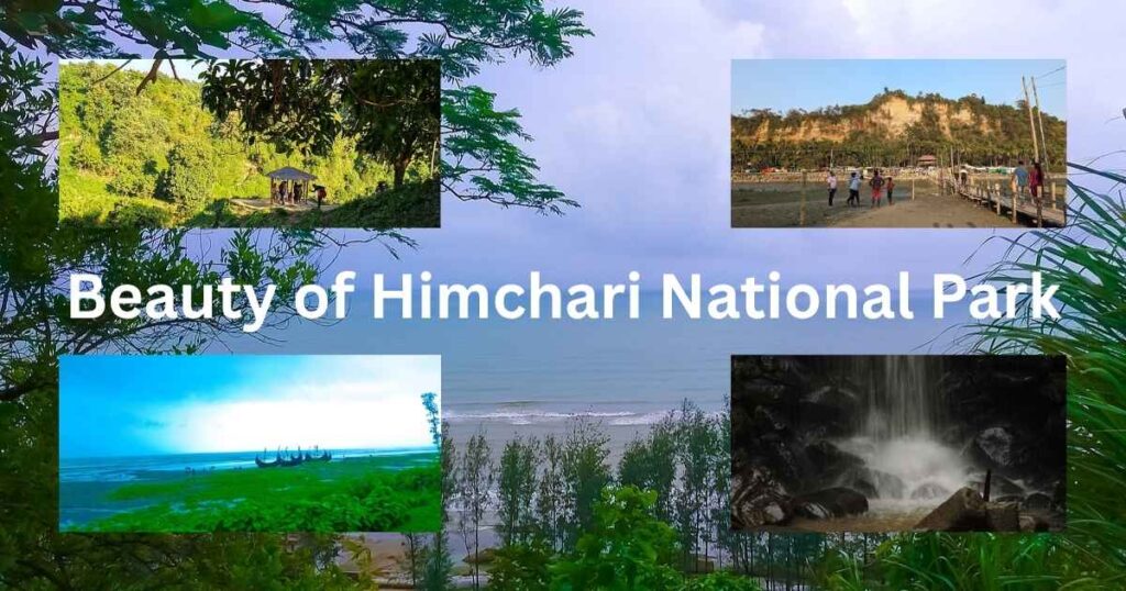 Himchari National Park