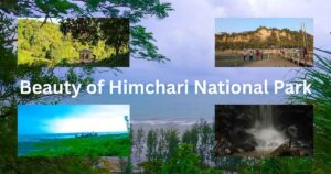 The Majestic Beauty of Himchari National Park: A Nature Lover’s Paradise