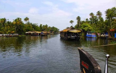Best things to do in Alleppey Kerala India