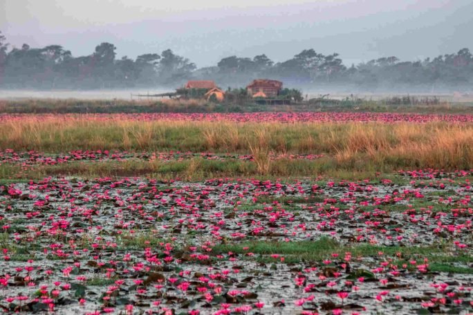 You should visit Bangladesh to experience its true beauty. 
Photo: Jaman Asad / Unsplash