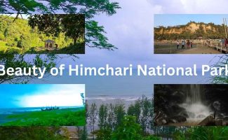 The Majestic Beauty of Himchari National Park: A Nature Lover’s Paradise