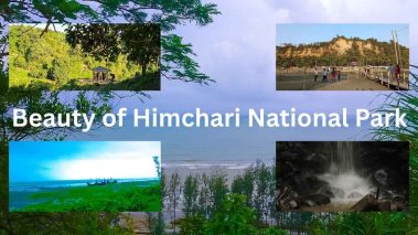 The Majestic Beauty of Himchari National Park: A Nature Lover’s Paradise