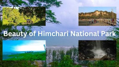 The Majestic Beauty of Himchari National Park: A Nature Lover’s Paradise