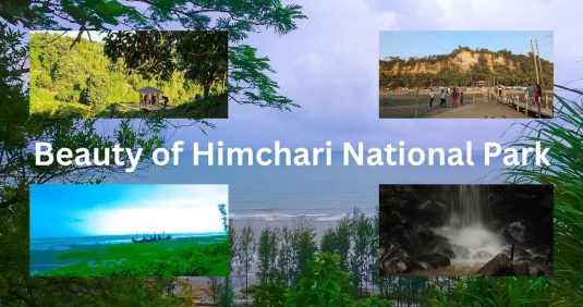 The Majestic Beauty of Himchari National Park: A Nature Lover’s Paradise