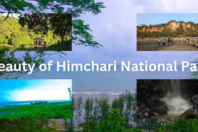 The Majestic Beauty of Himchari National Park: A Nature Lover’s Paradise