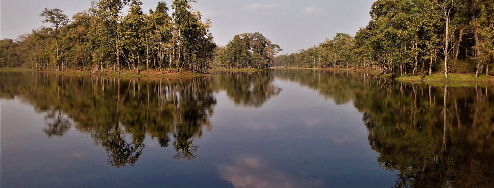 Beeshazari_Lake_of_Chitwan,_Nepal