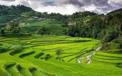 Explore Best Places to Visit in Nepal with us.