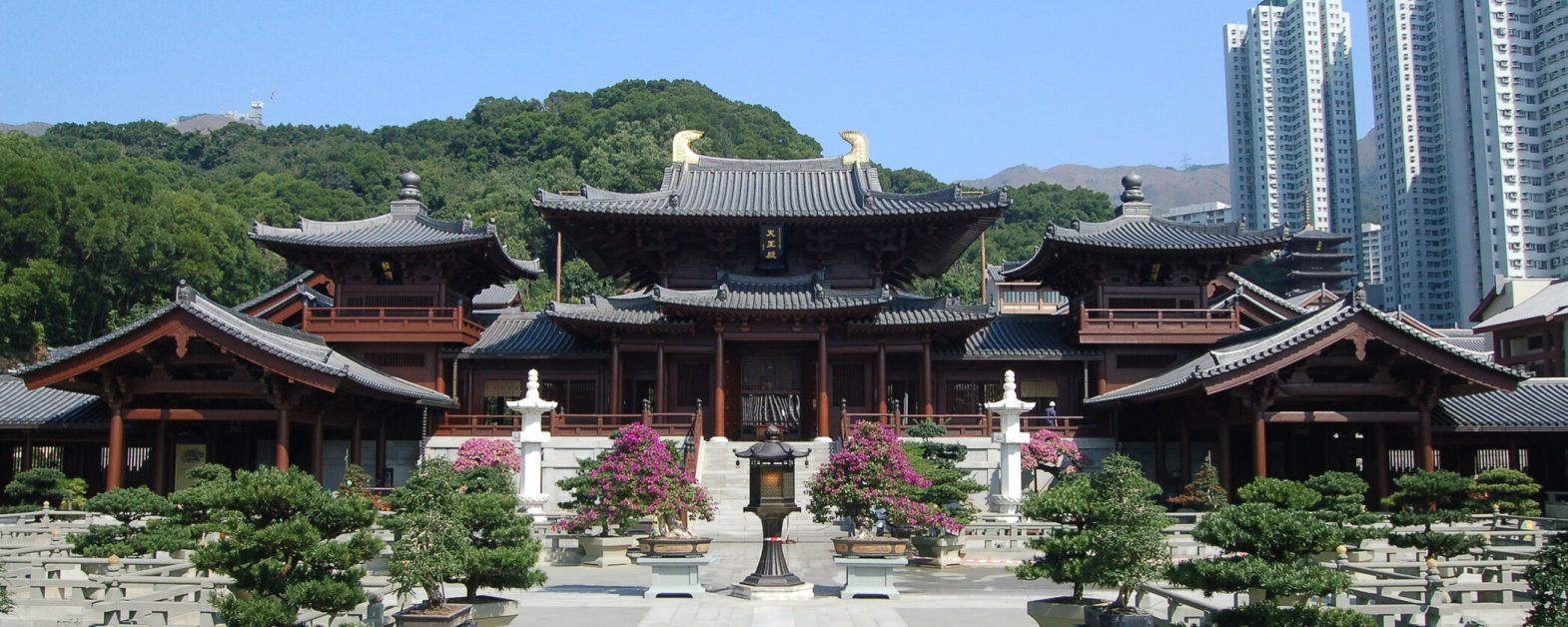 Chi Lin Nunnery Hong Kong 2-min