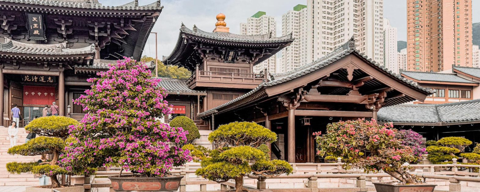 Chi Lin Nunnery Hong Kong 5-min