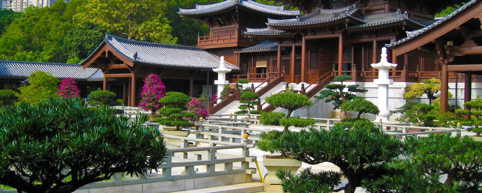 Chi Lin Nunnery Hong Kong 6-min