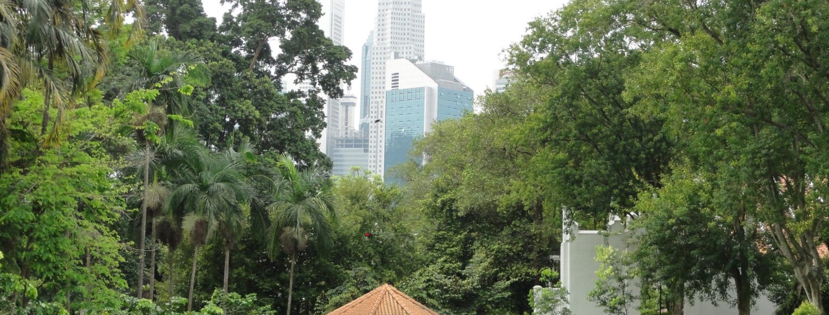 Fort canning park 6