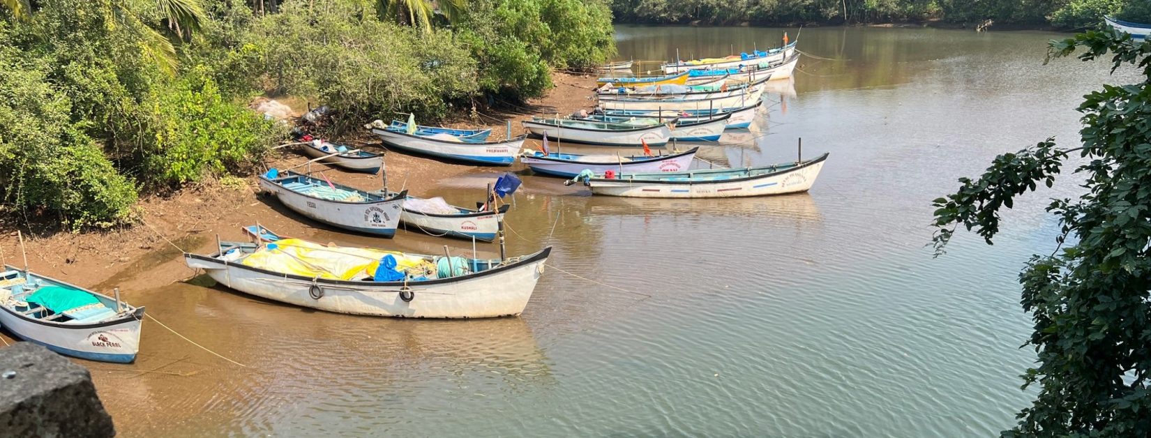 beauty of Goa