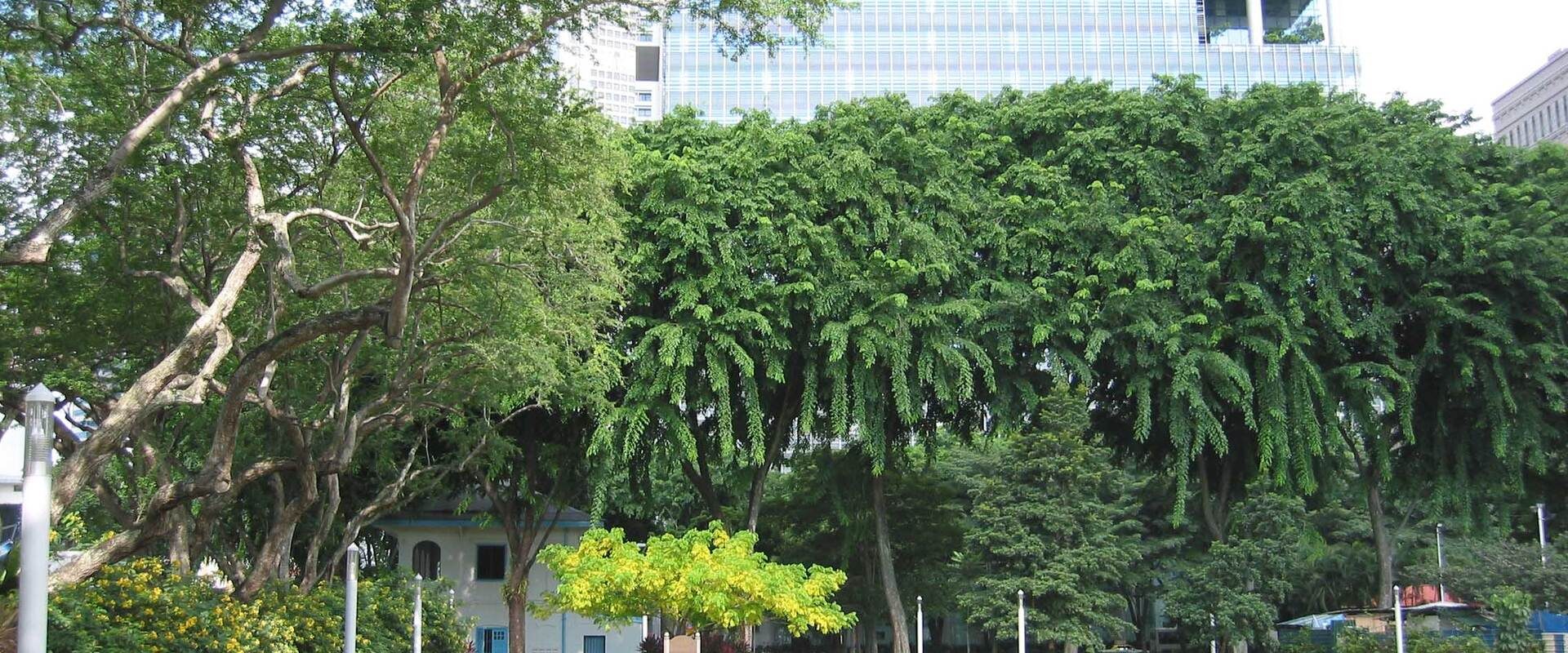Hong Lim Park Singapore