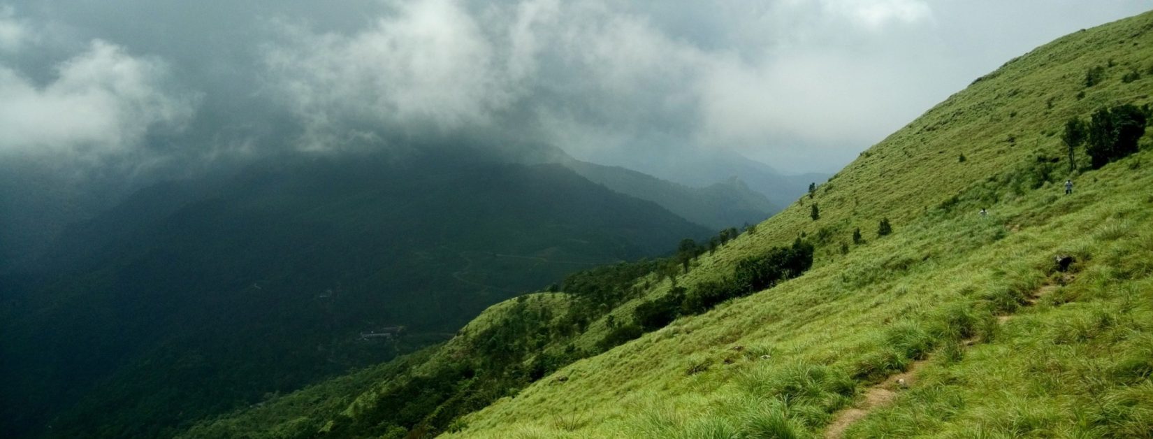 Kerala Naturl beauty