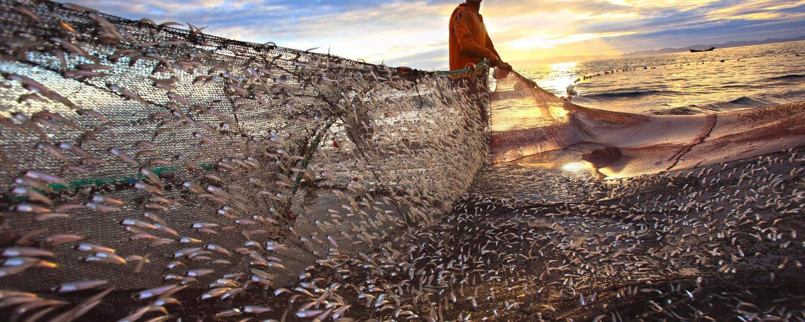 Saint Martin Bangladesh fishing-min