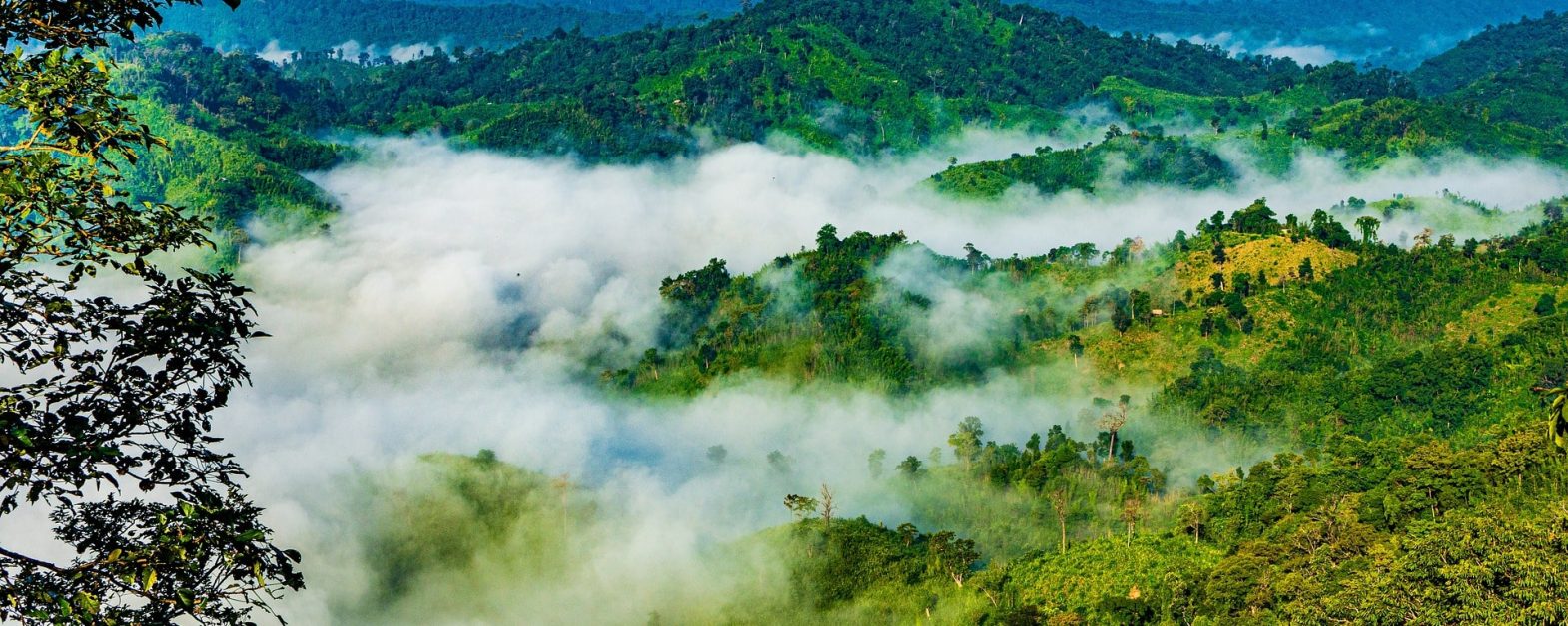 Sajek Valley bangladesh-min