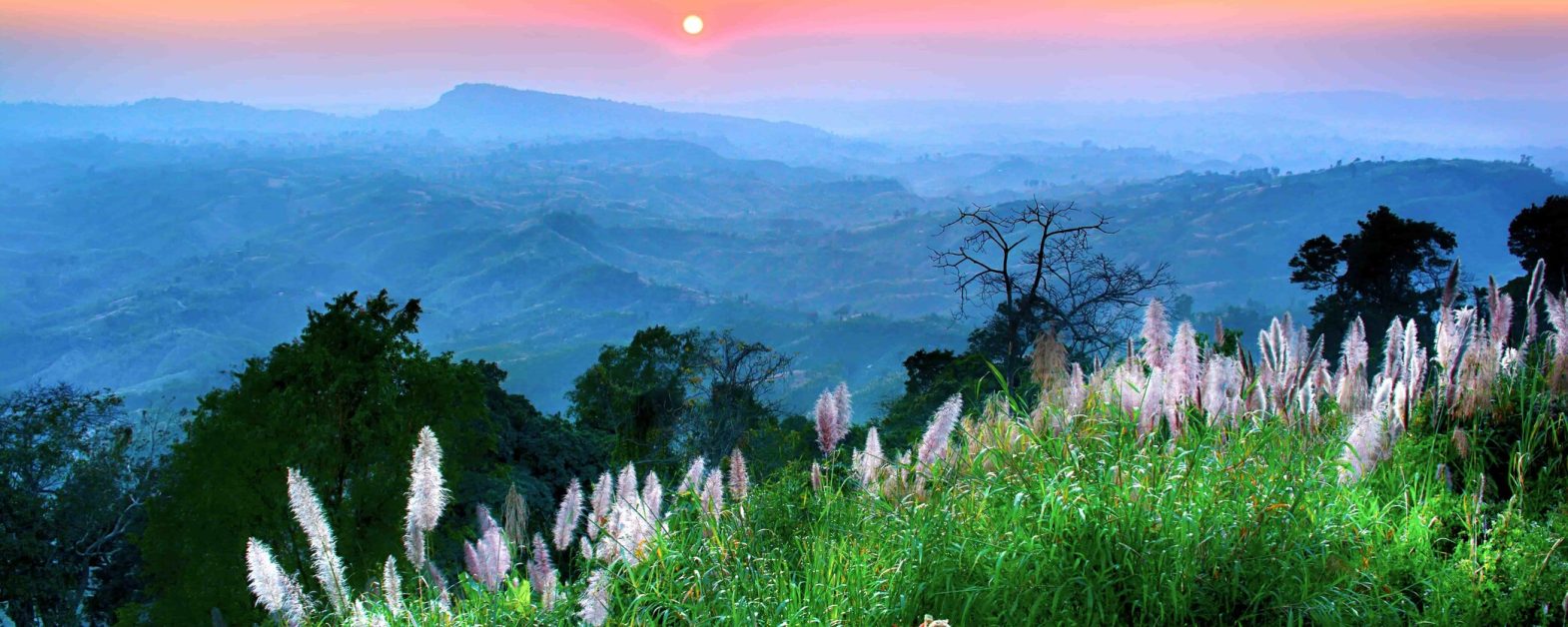 Sajek_Valley_Rangamati_2-min