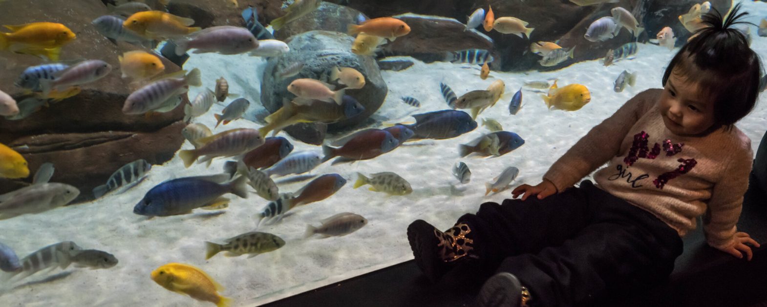 Shanghai Ocean Aquarium 3