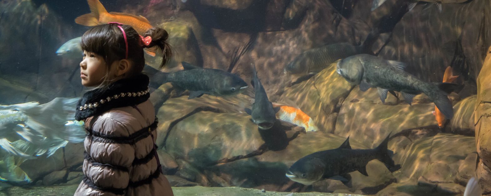Shanghai Ocean Aquarium 4