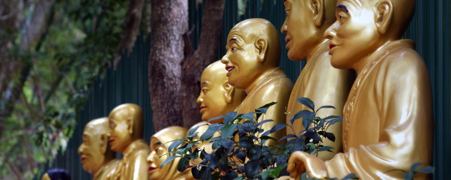 Ten Thousand Buddhas Monastery 10-min