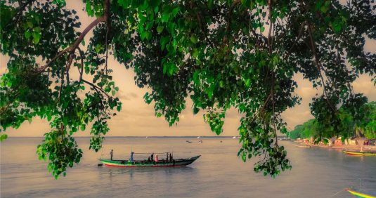 You should visit Bangladesh to experience its true beauty. 