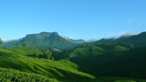 Tourist Places in Kerala-A Comprehensive Guide