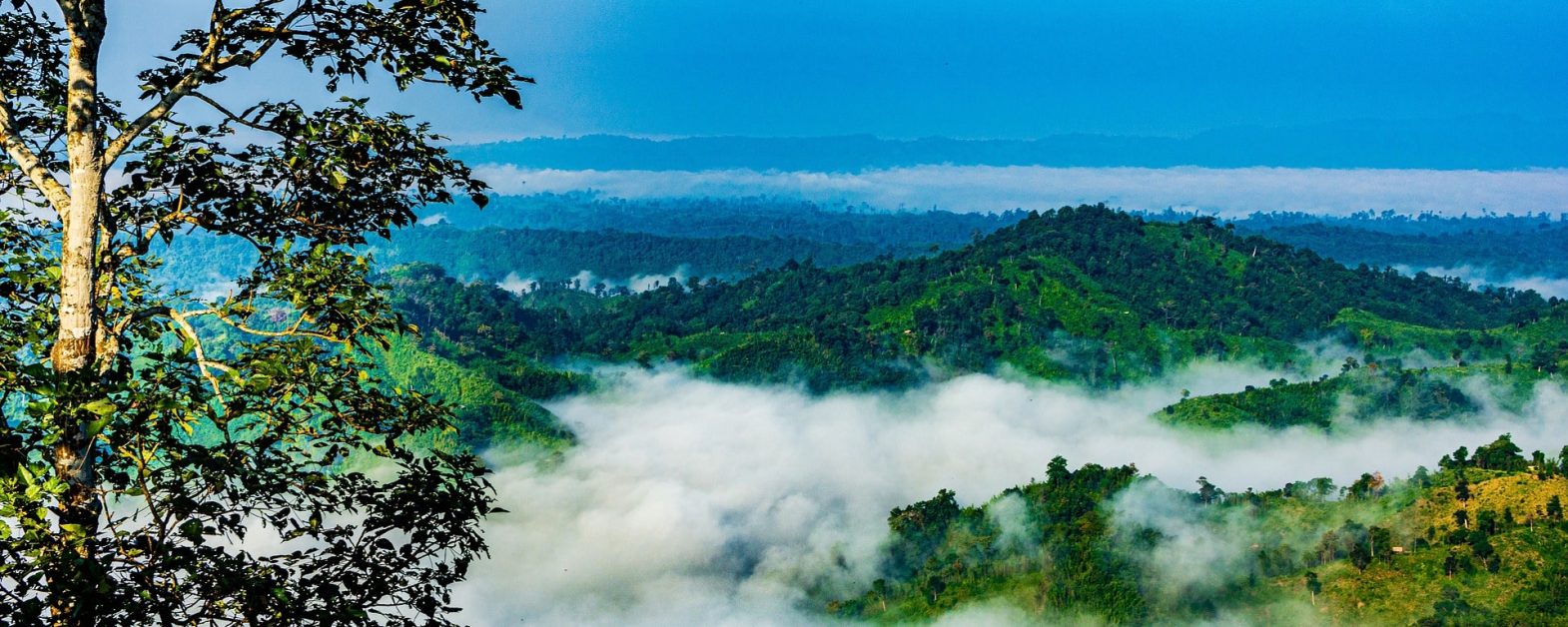 bangladesh Sajek Valley 1-min
