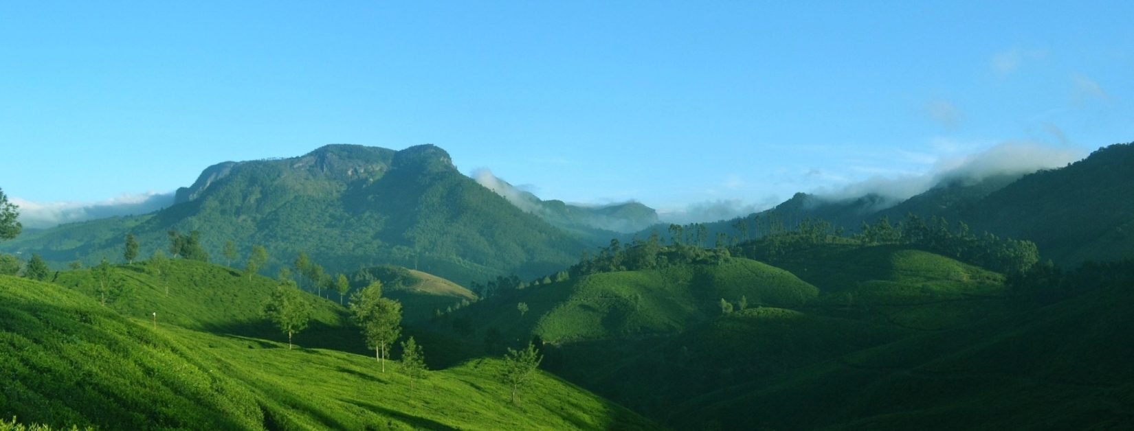 munnar Kerala India