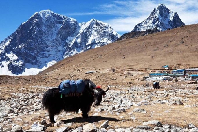 Nepal is where you can enjoy snowy mountains and ancient heritage on a budget.
Photo: kamchatka, Freepik